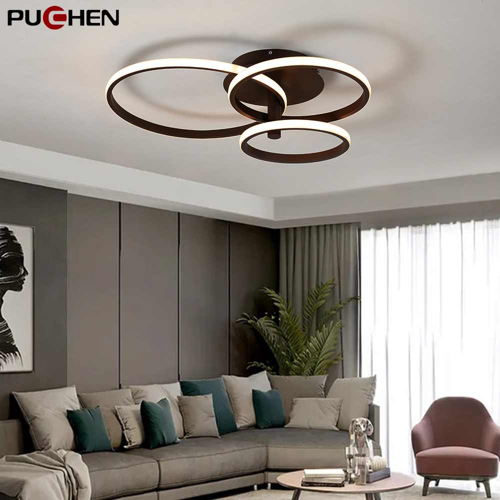 LED Ceiling Lights Decorative Family Lamp